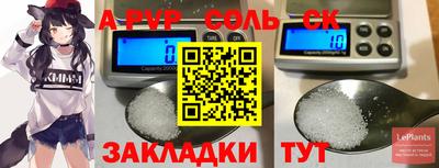 индика Гагарин