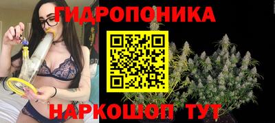индика Гагарин