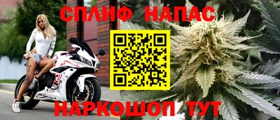 скорость Гусев
