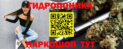 индика Гагарин