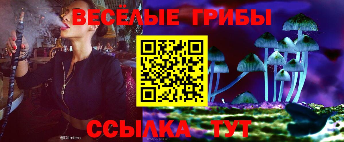 Галлюциногенные грибы мицелий Орёл