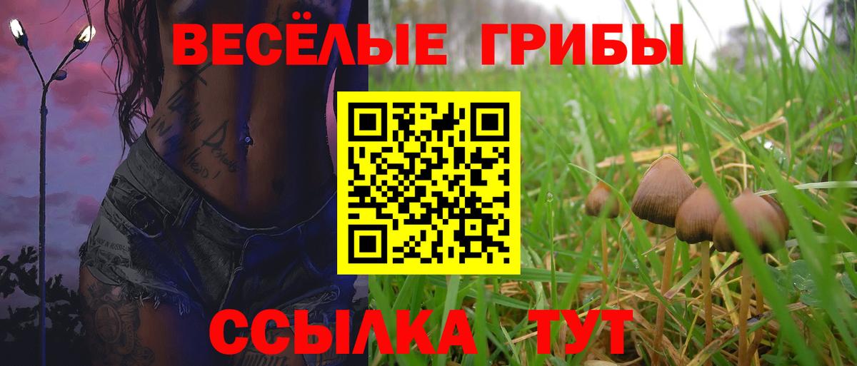 Галлюциногенные грибы Psilocybe  Вход с VPN  Орёл 