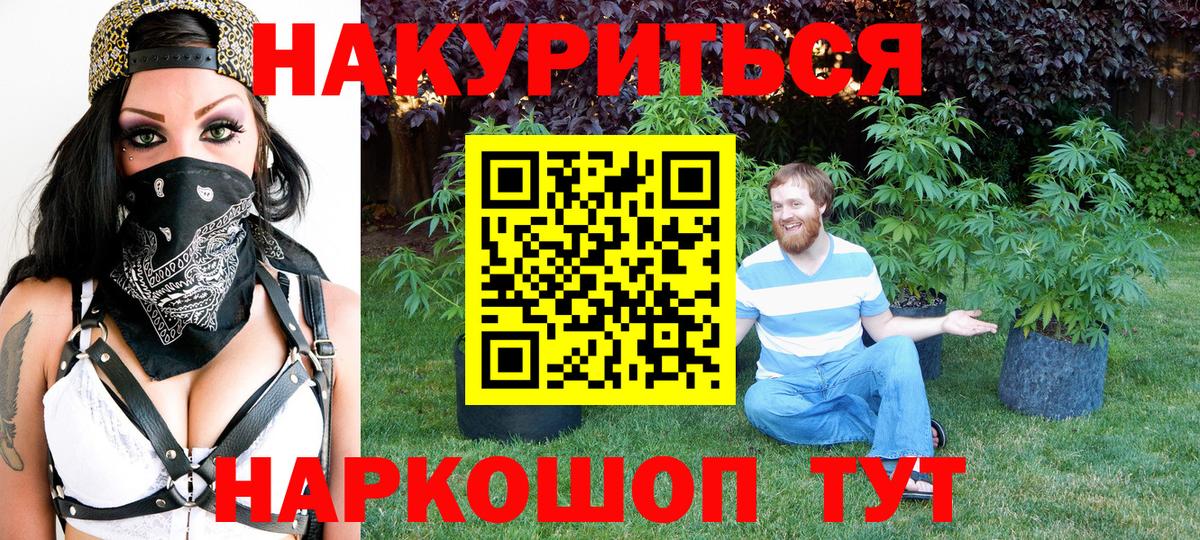 Канабис Bruce Banner  Конопля план  Орёл  Вход с VPN  Бошки марихуана SATIVA & INDICA 